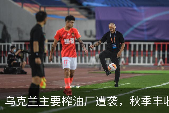 乌克兰主要榨油厂遭袭，秋季丰收前夕俄军恶意打击