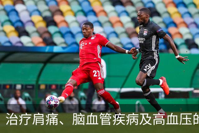 治疗肩痛、脑血管疾病及高血压的独特方剂